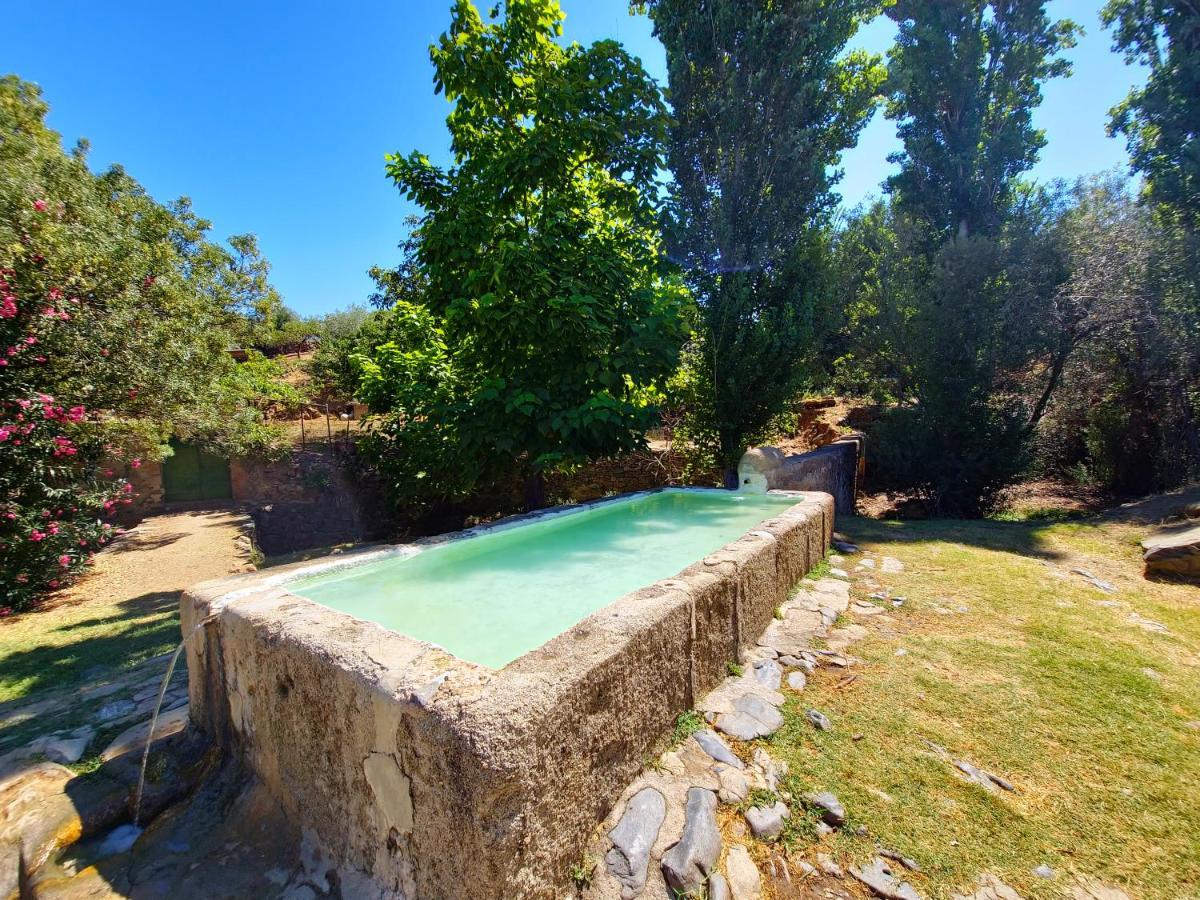 Apartamentos Rurales Tinguaton Aldeanueva de Barbarroya Bagian luar foto